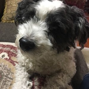 Meet your Posher, Archana